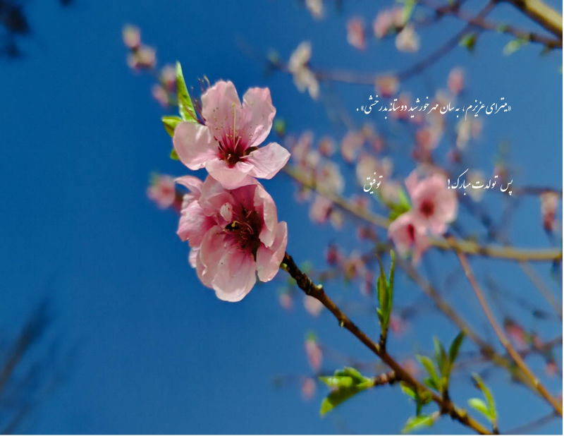تولد میترا  -   »میترای عزیزم،   به سان  مهر خورشید  دوستانه بدرخشی. «